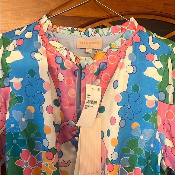 Ciebon Dress - Picture 3 of 3